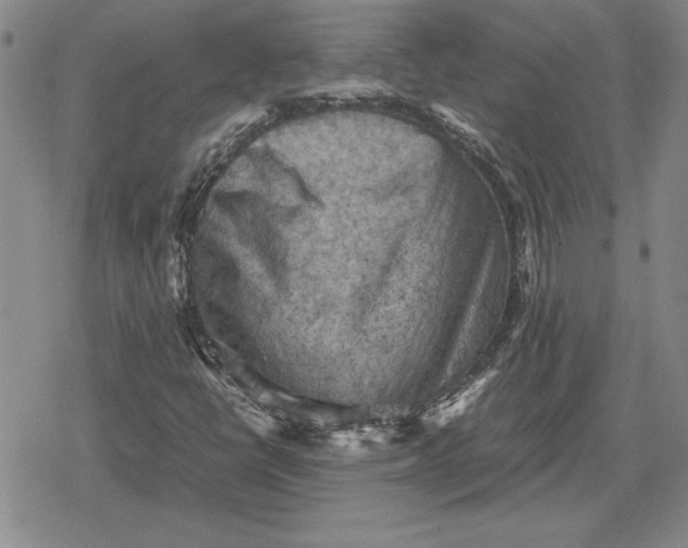 X0000079281398200612081741