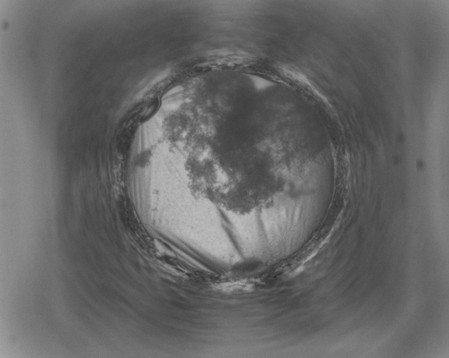 X0000079281399200612081741