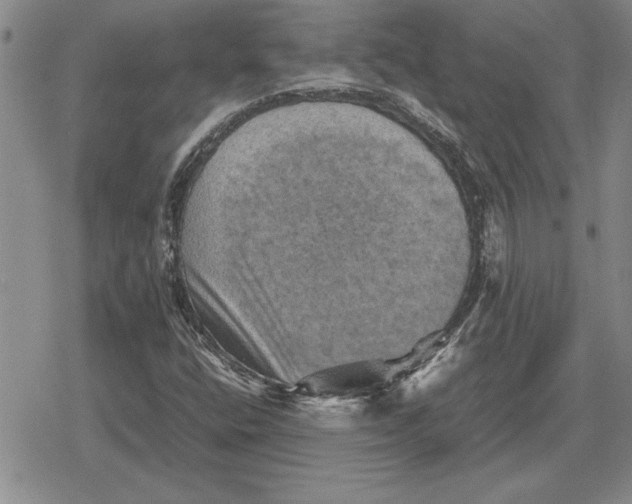 X0000079281400200612081741