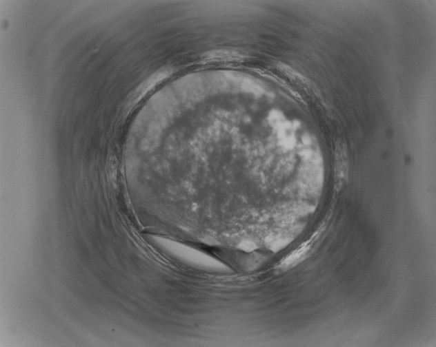 X0000079281401200612081741