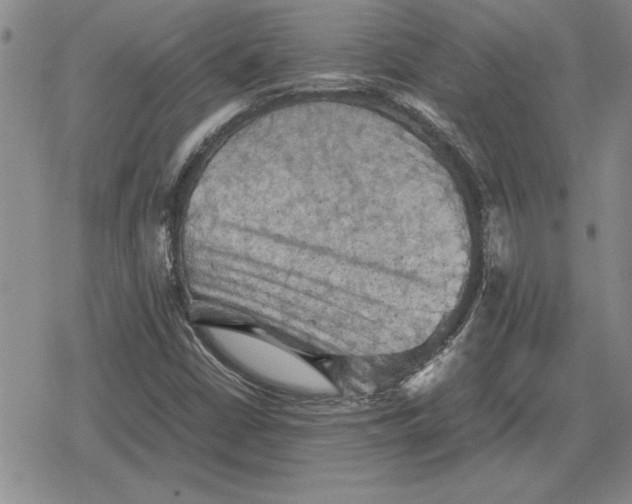 X0000079281402200612081741