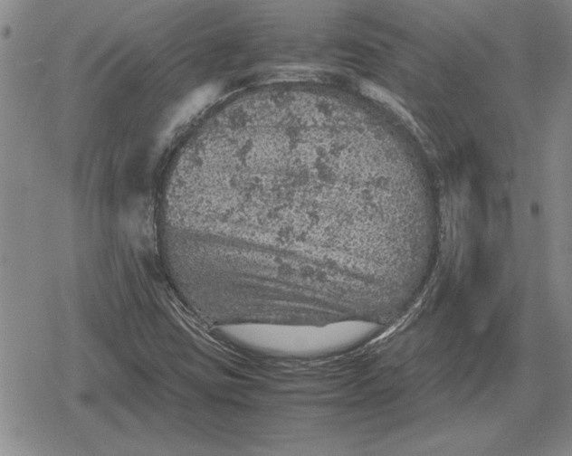 X0000079281403200612081741