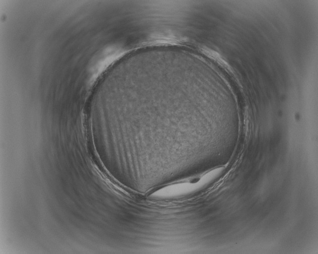 X0000079281404200612081741