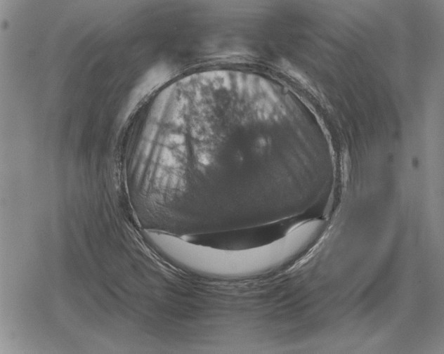 X0000079281405200612081741