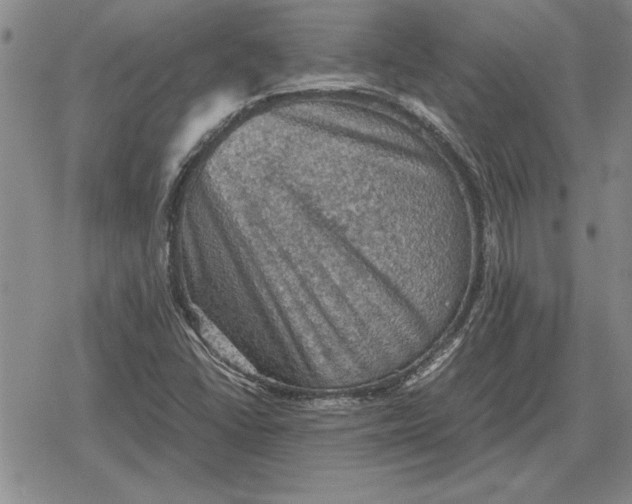 X0000079281406200612081741