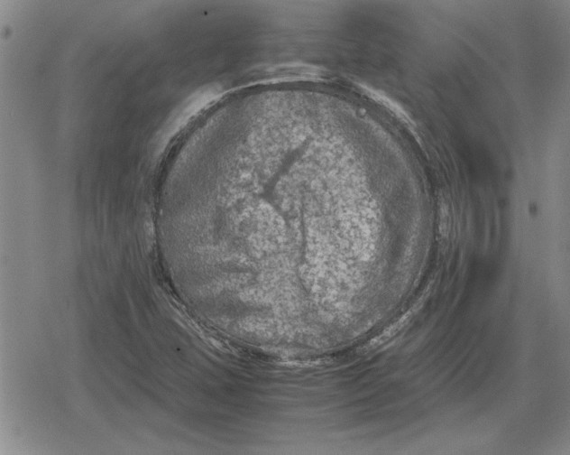 X0000079281407200612081741