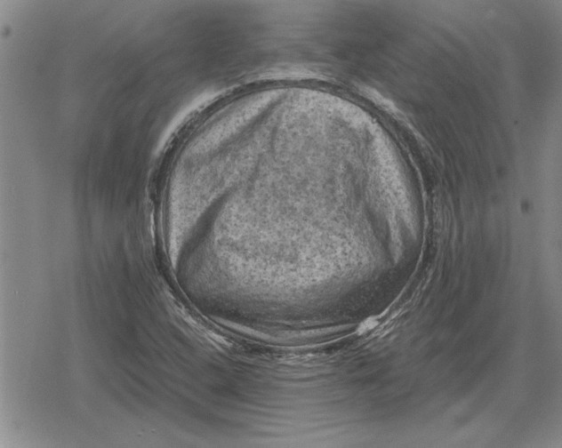 X0000079281408200612081741