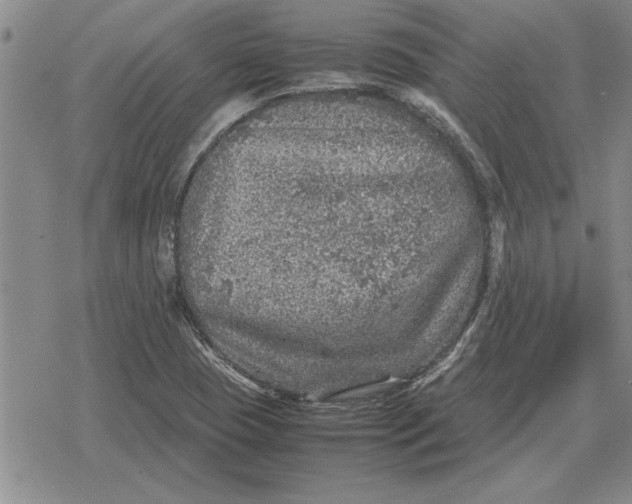 X0000079281409200612081741