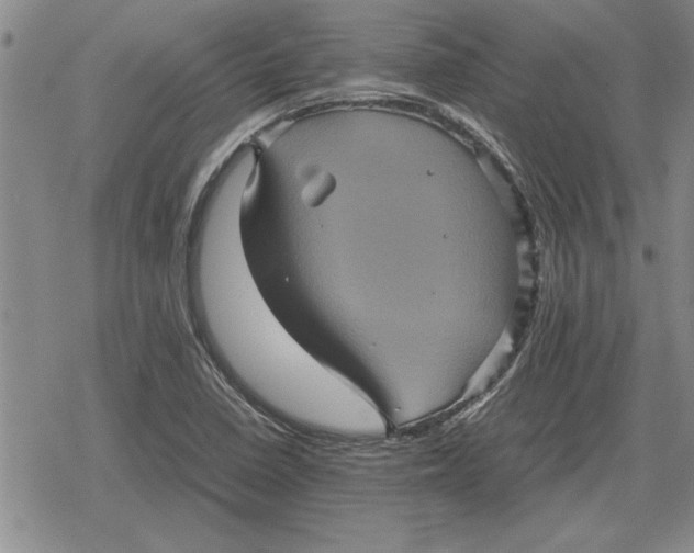 X0000079281410200612081741