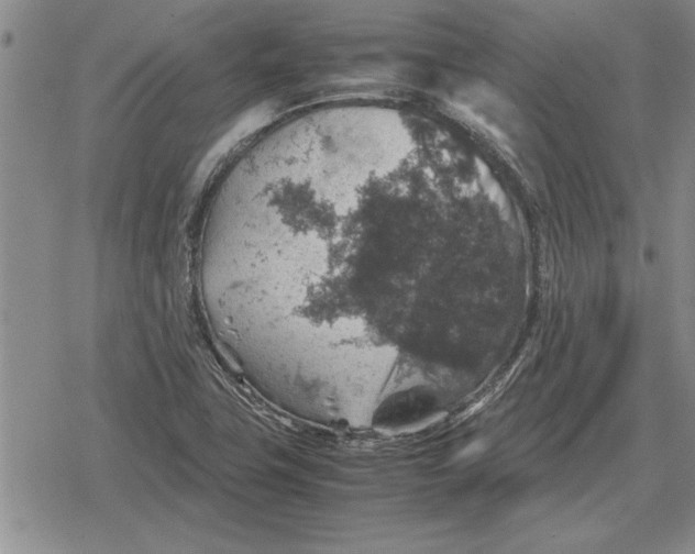 X0000079281411200612081741