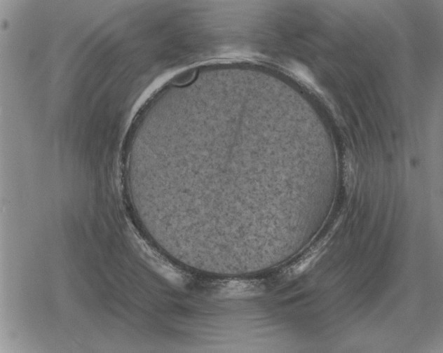 X0000079281412200612081742