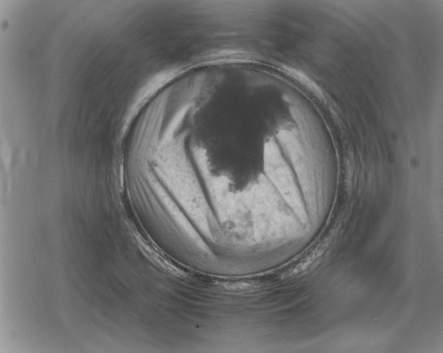 X0000079281413200612081742