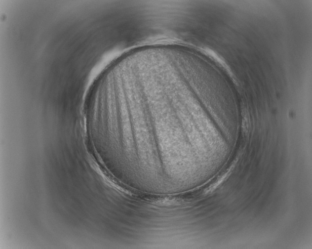 X0000079281414200612081742