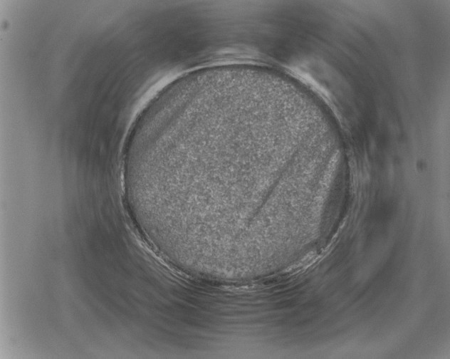 X0000079281415200612081742