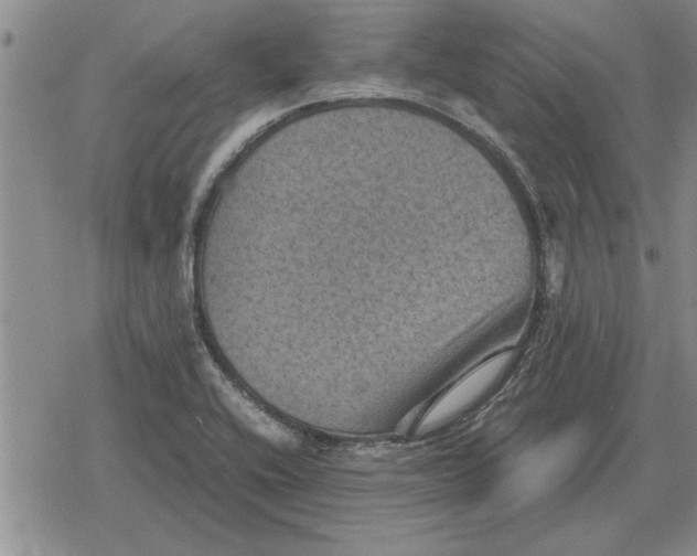 X0000079281416200612081742