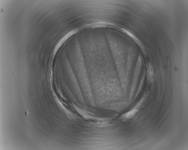 X0000079281418200612081742