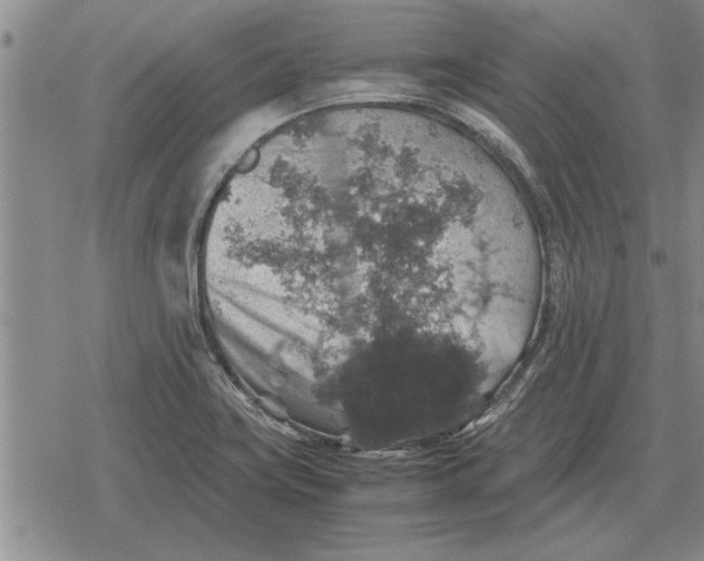 X0000079281419200612081742