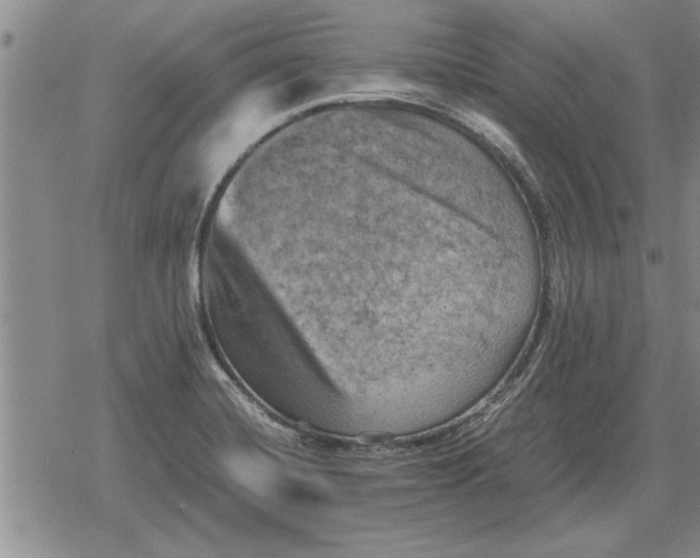 X0000079281420200612081742