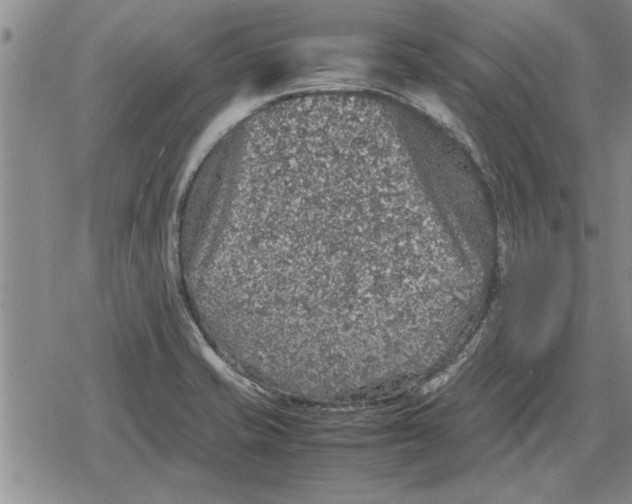 X0000079281421200612081742