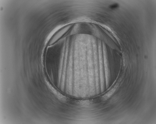 X0000079281422200612081742