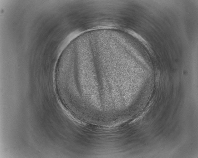 X0000079281423200612081742