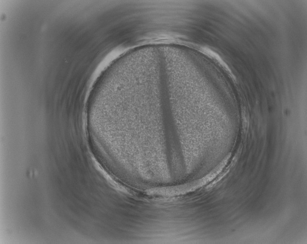 X0000079281424200612081742