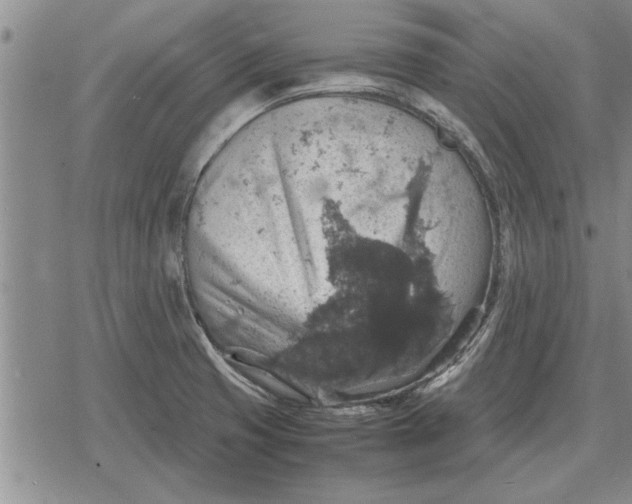 X0000079281425200612081742