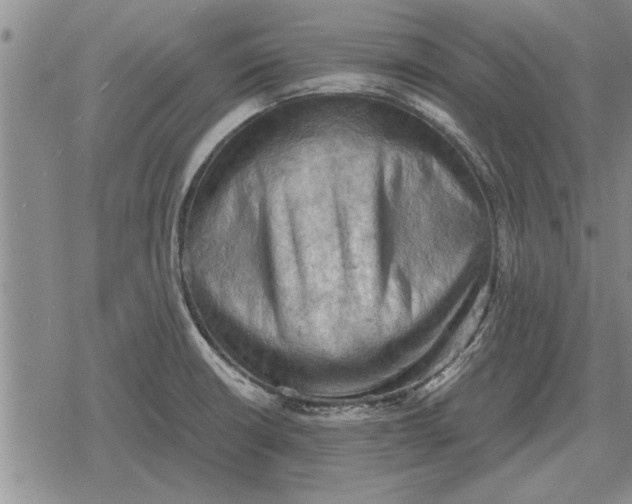 X0000079281426200612081742