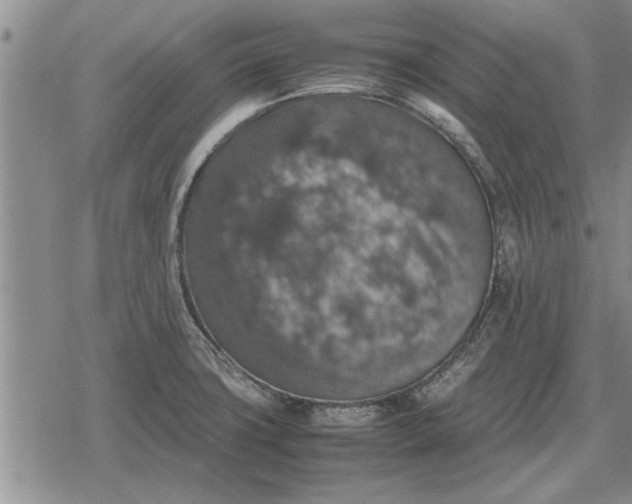 X0000079281427200612081742