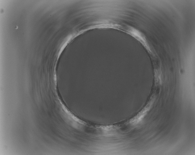 X0000079281428200612081742