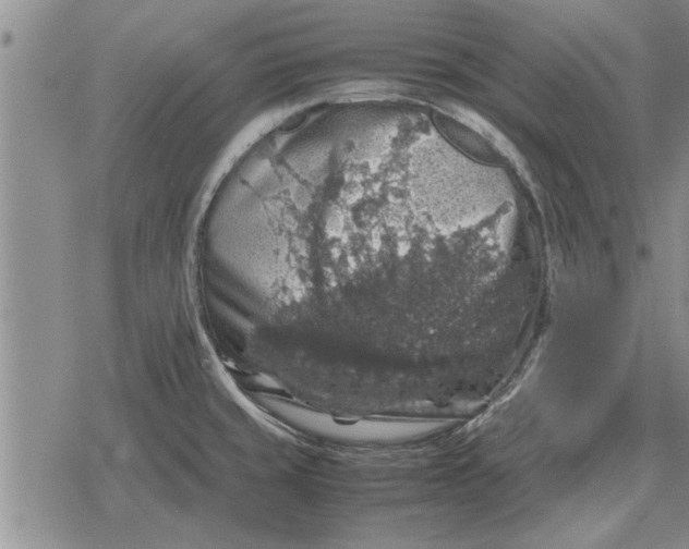 X0000079281429200612081742