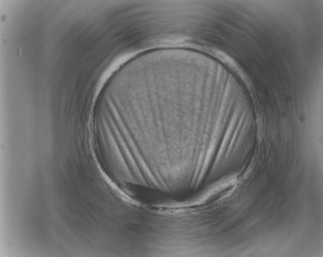 X0000079281432200612081742