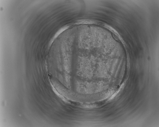 X0000079281433200612081742