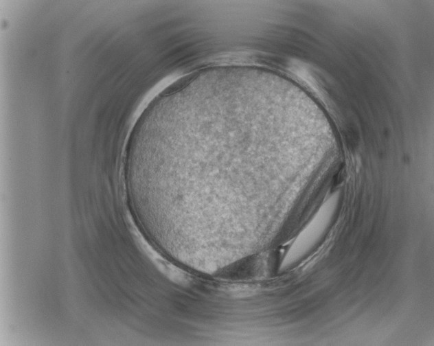 X0000079281434200612081742