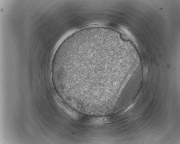 X0000079281435200612081742