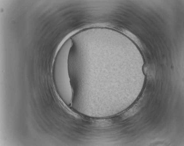 X0000079281436200612081742