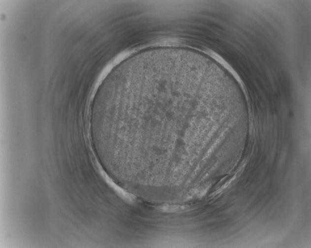 X0000079281437200612081742