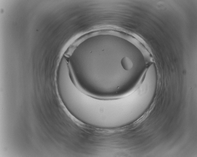 X0000079281438200612081742