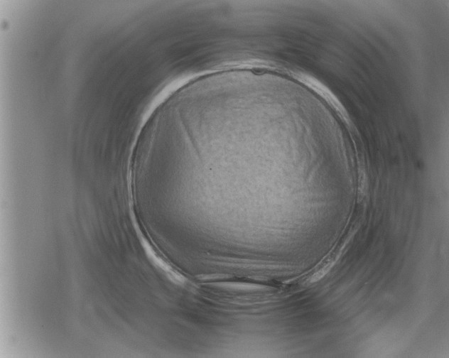 X0000079281439200612081742