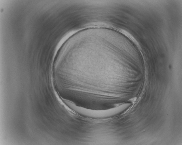 X0000079281440200612081742