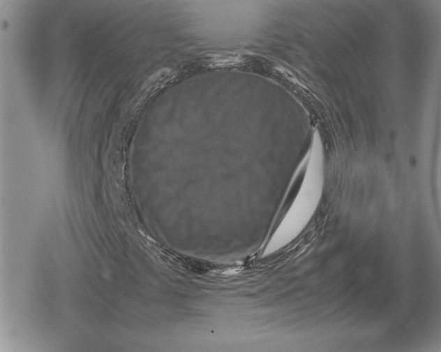 X0000079281441200612081741