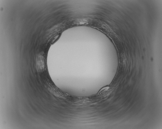 X0000079281442200612081741