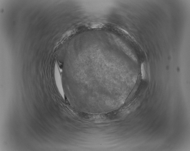 X0000079281443200612081741