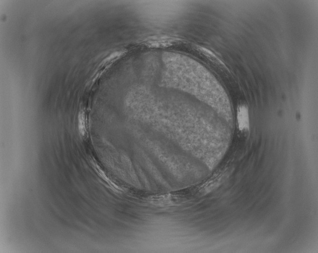 X0000079281444200612081741