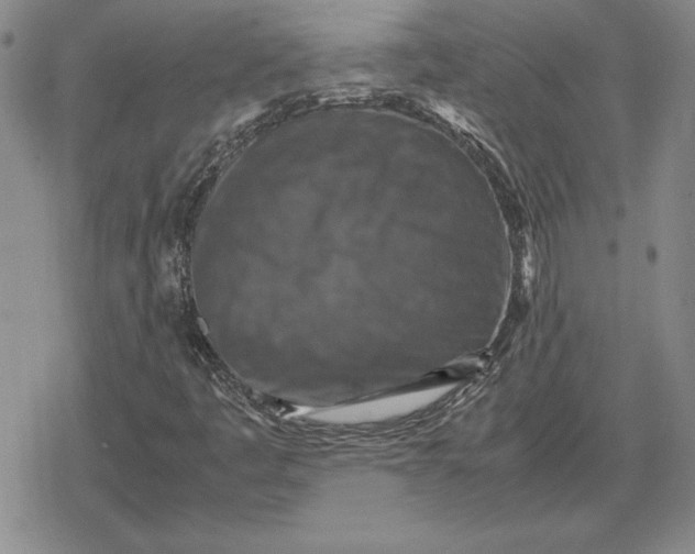 X0000079281445200612081741