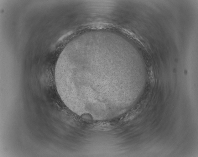 X0000079281446200612081741