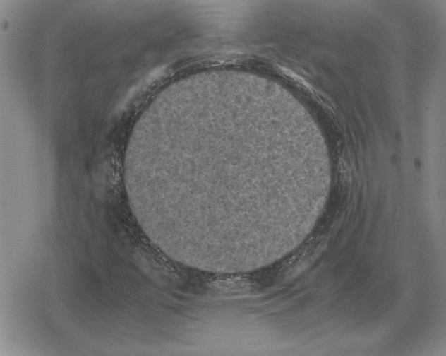 X0000079281447200612081741