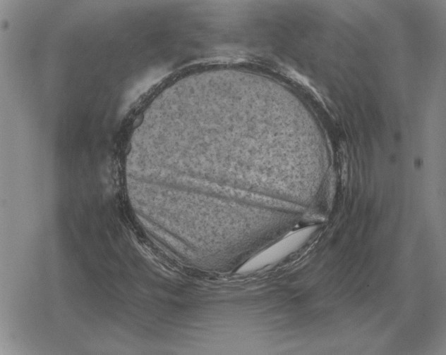 X0000079281448200612081741