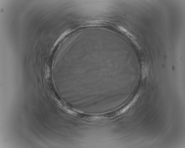 X0000079281449200612081741