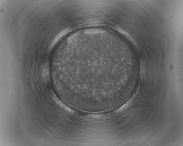 X0000079281450200612081741